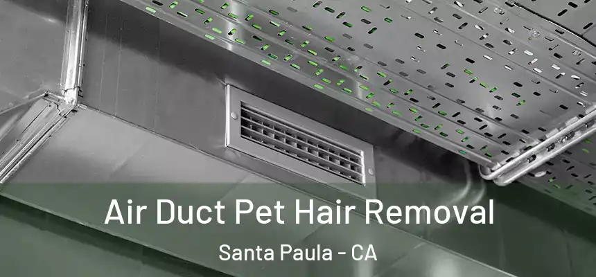 Air Duct Pet Hair Removal Santa Paula - CA