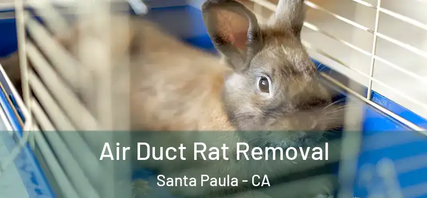  Air Duct Rat Removal Santa Paula - CA