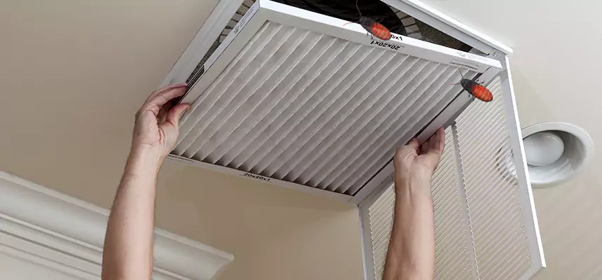 Preventive Cockroach-Proofing for Ducts in Santa Paula