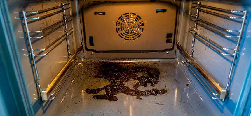 Our Dryer Vent Mold Cleaning Services in Santa Paula, CA