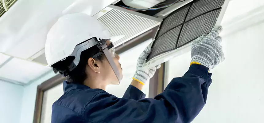 Our Mold & Mildew Removal from Air Ducts Services in Santa Paula, CA