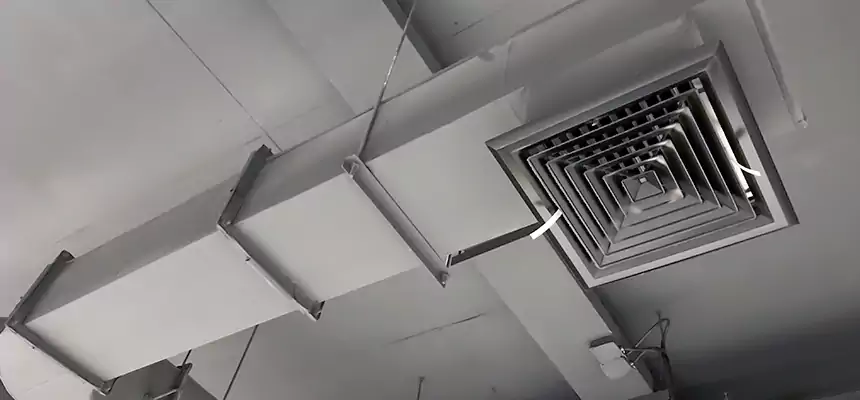 Our Pest Removal From Ducts Services in Santa Paula, CA