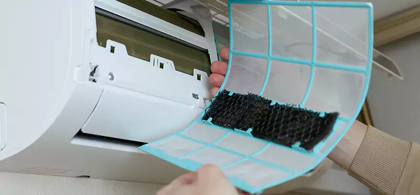 Gentle Ductwork Odor-Control Pet Dander Duct Cleaning in Santa Paula, CA