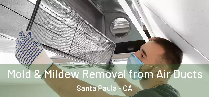 Mold & Mildew Removal from Air Ducts Santa Paula - CA