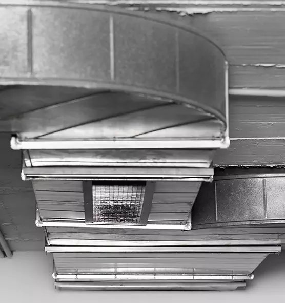 Professional Air Duct Pet Hair Removal in Santa Paula, CA