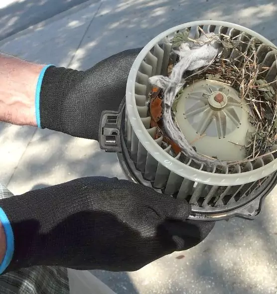 About Air Duct Rat Removal in Santa Paula, CA