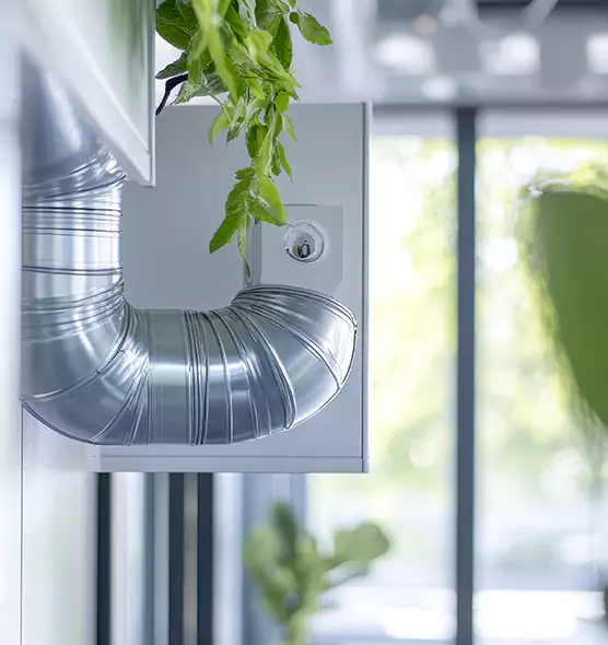 Professional Eco-Friendly Duct Cleaning Services in Santa Paula, CA