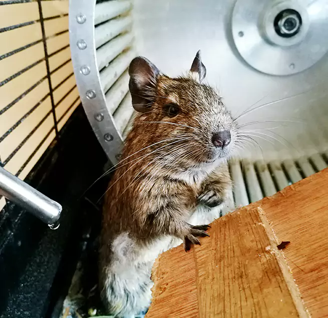 Why Homeowners & Businesses Trust Us Santa Paula, CA