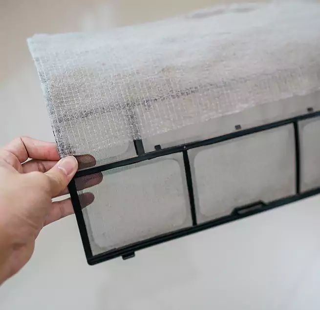 Why Homeowners & Businesses Trust Us in Santa Paula, CA?