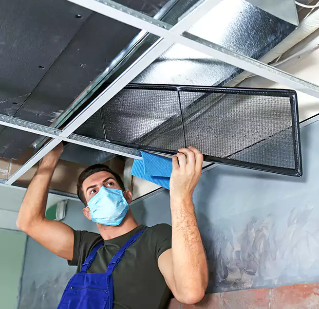 Why Homeowners Businesses Trust Us in Santa Paula, CA