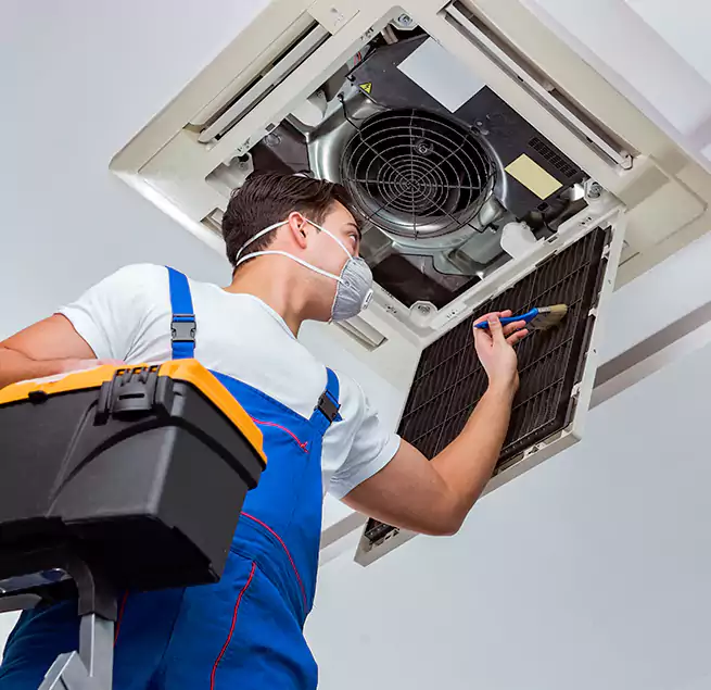 Why Homeowners & Businesses Trust Us in Santa Paula, CA?